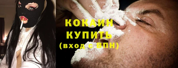 прущие грибы Гусев