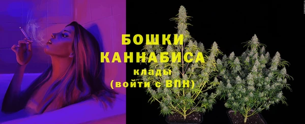сатива Горняк