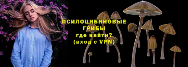 мяу мяу мука Горно-Алтайск