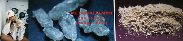прущие грибы Гусев