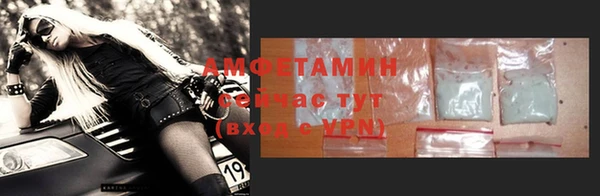 прущие грибы Гусев