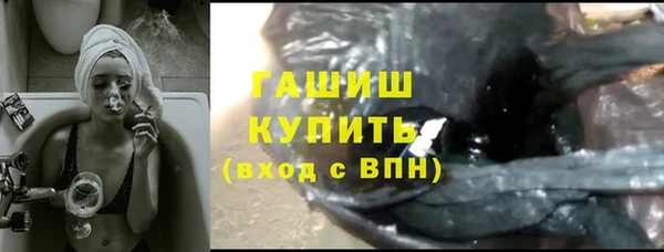 сатива Горняк