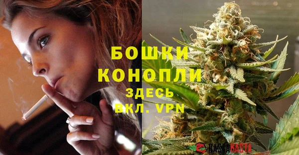 прущие грибы Гусев