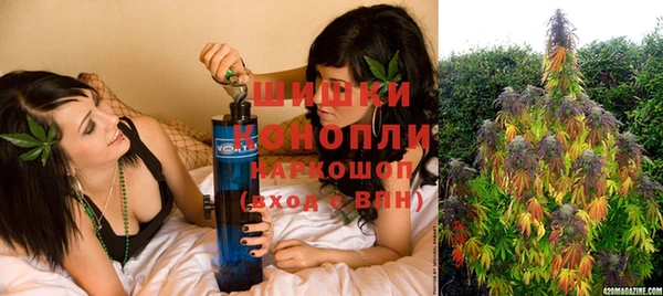 сатива Горняк