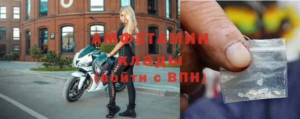сатива Горняк