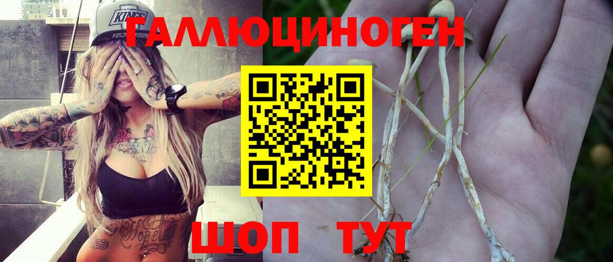 Псилоцибиновые грибы GOLDEN TEACHER Гусев