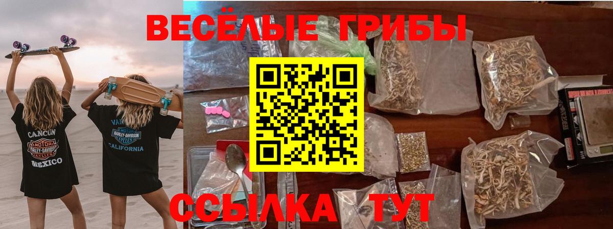 Псилоцибиновые грибы прущие грибы  Псилоцибиновые грибы Psilocybe  Вход с VPN  наркота  Гусев 