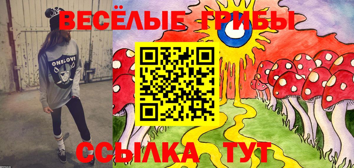 Галлюциногенные грибы Psilocybe Гусев
